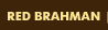 Red Brahman