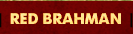 Red Brahman